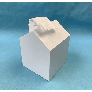 House Shaped Tissue Boxes