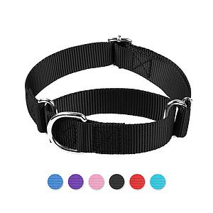 Dog Collars