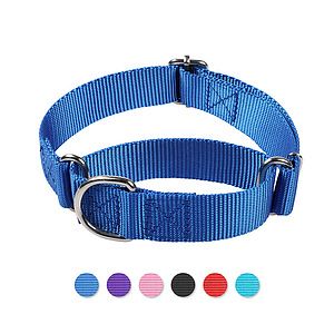 Dog Collars