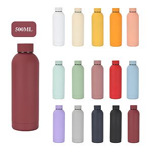 17 OZ Handle Outdoor Water Bottle