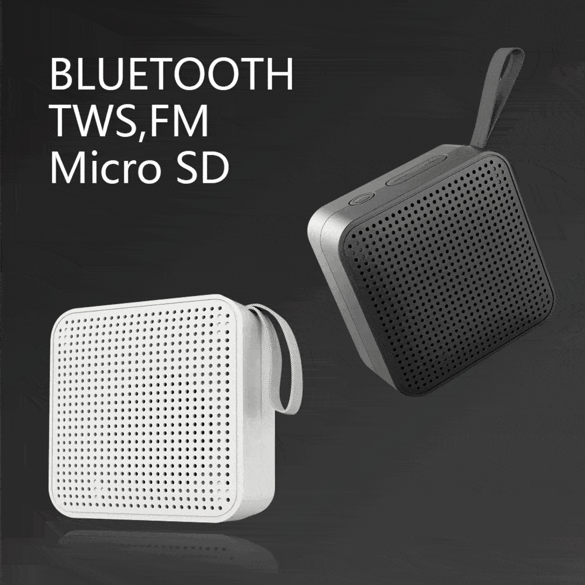 Mini Portable Speaker