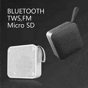 Mini Portable Speaker