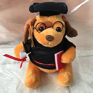 Plush Bear w/ Embroidered Paws and T-Shirt
