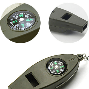 Compass and Thermometer Keychain