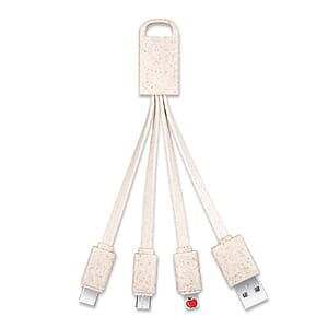 Multi in One Charging Cable