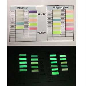 Glow In The Dark Lanyard