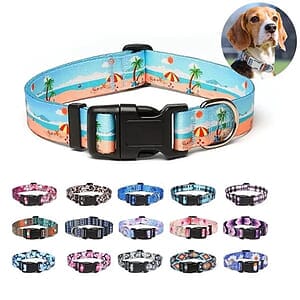 Promotional Full Color Pet Collar
