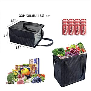 Non-woven Portable Thermal Insulation Bag