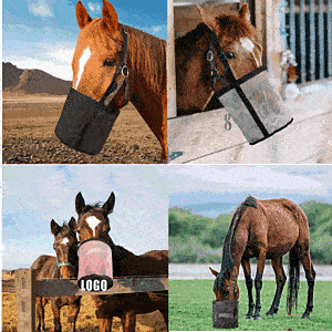 Horse Feed Bags for Grain / Horse Feed Bucket with Adjustable Strap