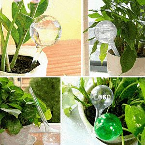 Watering Ball/ Plant Waterer Bulbs