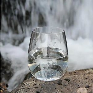 PET Wine Cup