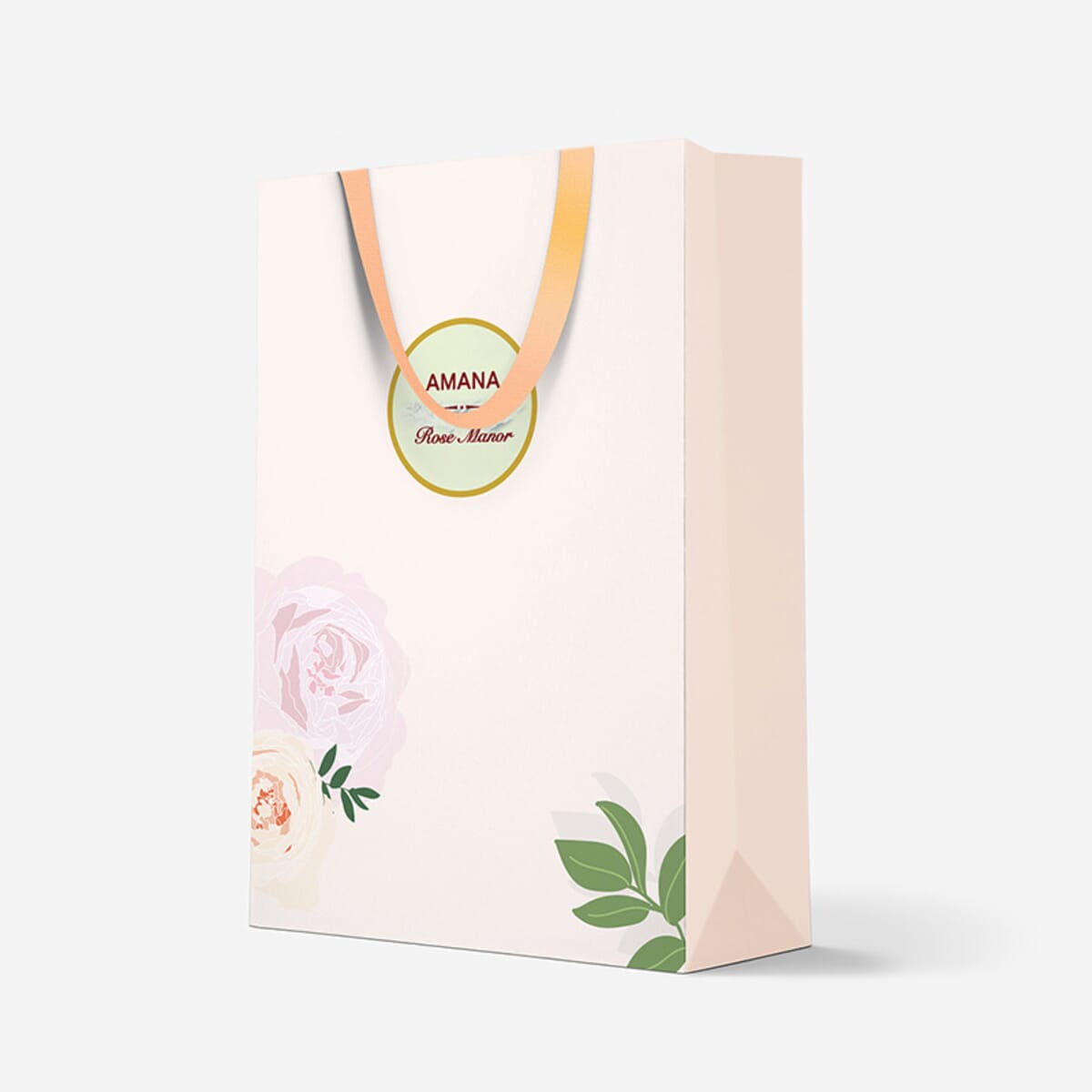 Take out bag
