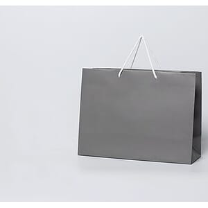 Gift bag