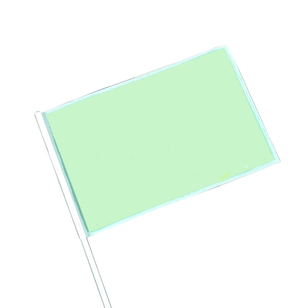 Hand held flag