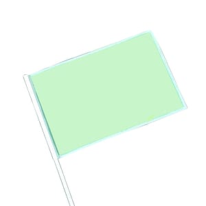 Hand held flag