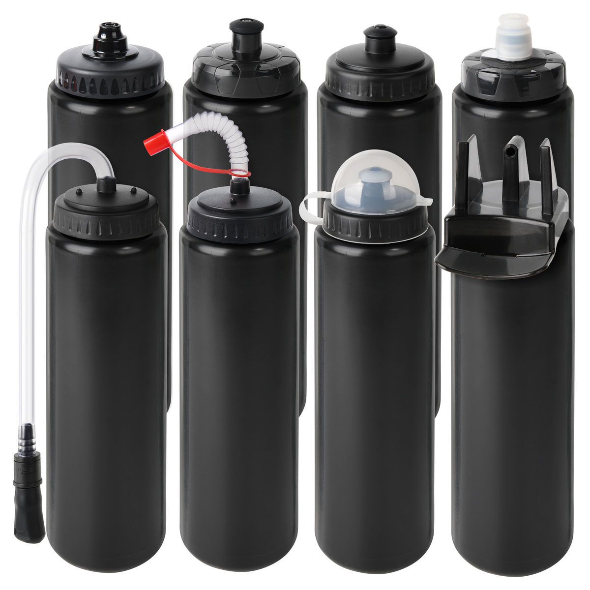 Sports Bottle
