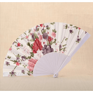 Plastic Fan