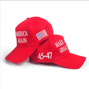 Adult Embroidered Trump 2024 Hats