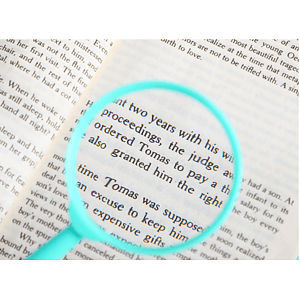 Mini Handheld Magnifier