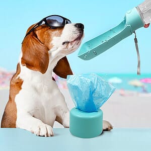 Double-layer Portable Pet Folding Drinker / Food Storage
