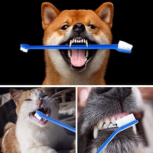 Pet Toothbrush