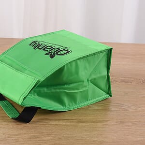 Hand-held Portable Waterproof Insulated Bag