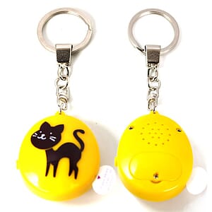 Pre-Record Key Chain/ Talking Keychain/ Music Keyring