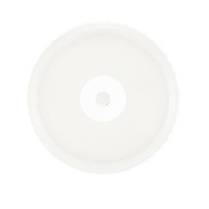 20 oz. Translucent Sports Bottle