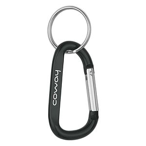 Small Carabiner