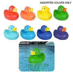 Colorful Duck