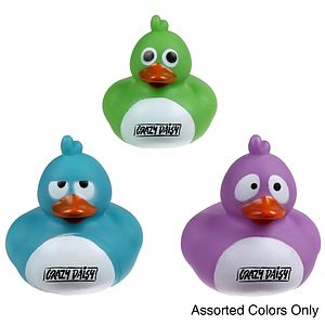 Crazy Pigeon Duck