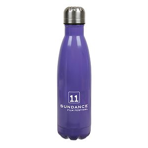 17oz Insulated Bottle