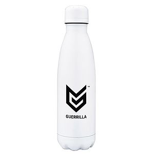 17oz Insulated Bottle