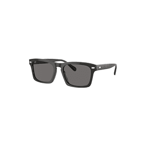 Coach Polarized Keyhole Square Sunglasses