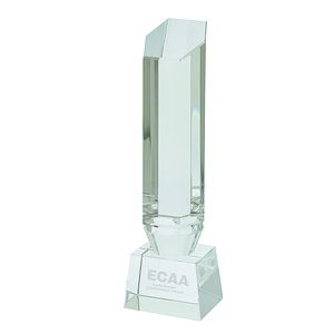 Hexagon Tower Award
