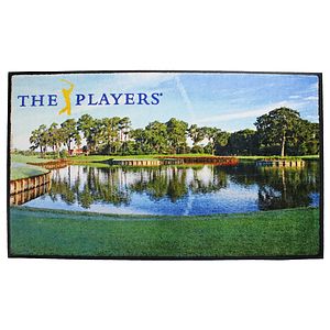 DigiPrint High Definition Recycled PET Indoor Carpeted Logo Mat (6'x12')