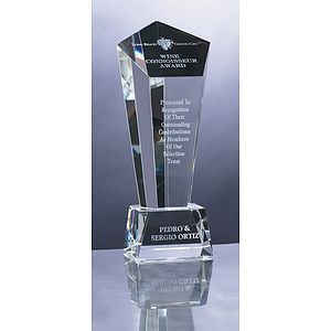 10" Crystal Vision Award