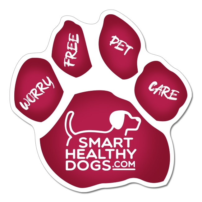 5.75 Car Sign Small Paw Shape Magnets Full Color 30 Mil