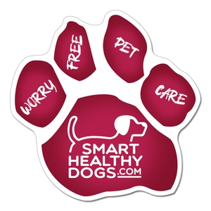 5.75 Car Sign Small Paw Shape Magnets Full Color 30 Mil