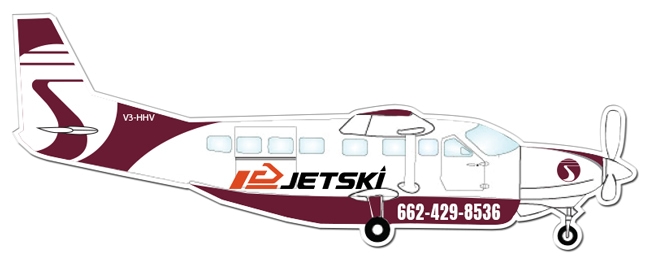 11.54x4.43 Air Plane Shaped Magnets - 20 Mil
