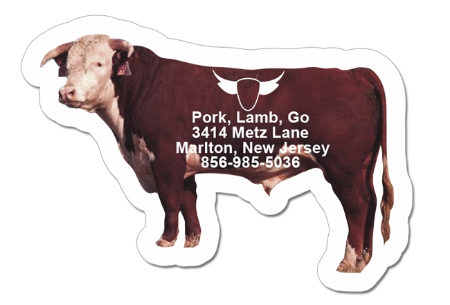 2.64x1.87 Bull Shaped Magnets - 20 Mil