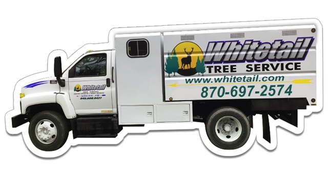 6.69x2.92 Truck Shaped Magnets - 20 Mil