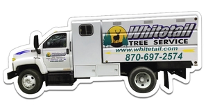 6.69x2.92 Truck Shaped Magnets - 20 Mil
