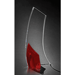 Affinity Award