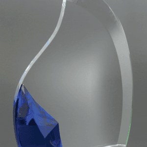 Large Empower Award