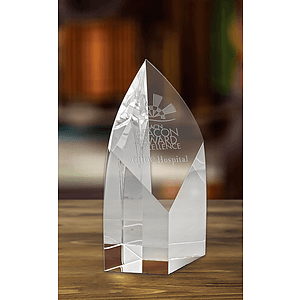 Aspire Award