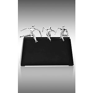 The Race Award