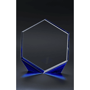 Omni Award