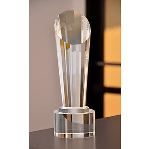 Marvel Award