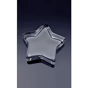 CEO Star Paperweight